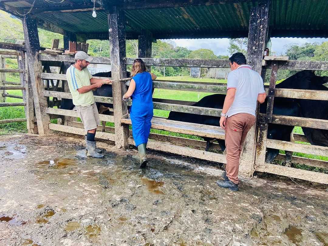 Camacã: Programa Mais Pecuária Brasil atende mais pecuaristas